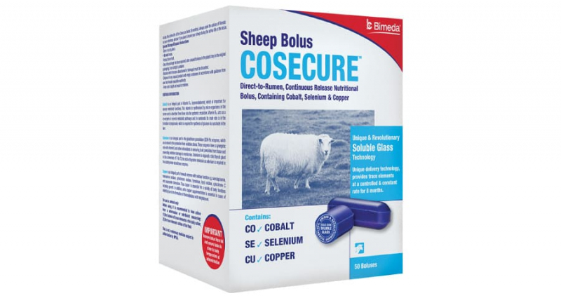 Bimeda Ireland - Cosecure Sheep